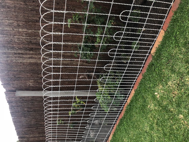 Double Loop Woven Fencing Wire – Big Red Heritage Wire & Gates – Australian  Made Gates and Fencing